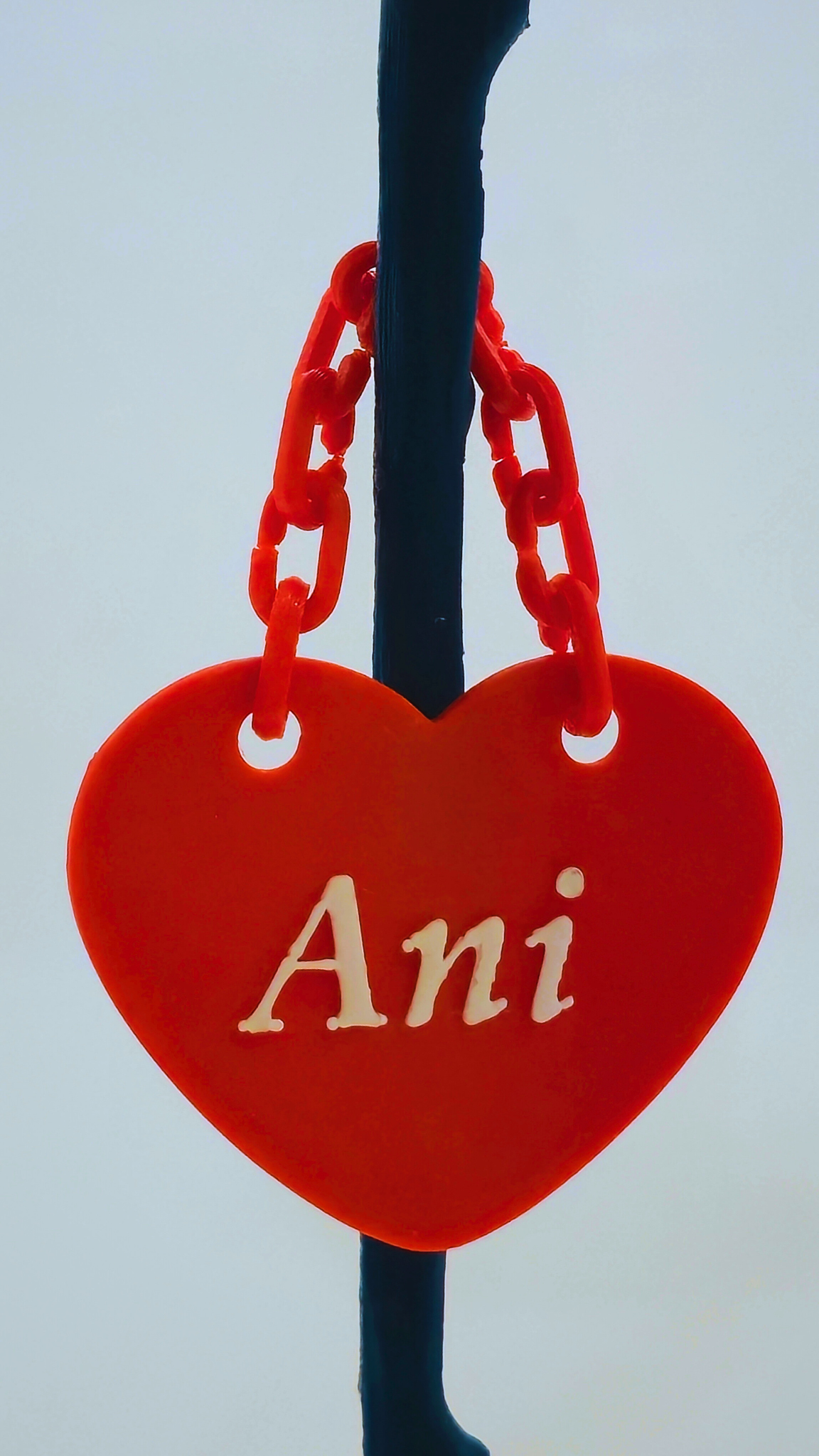 Ruža koja ne vene – Personalizirani Poklon