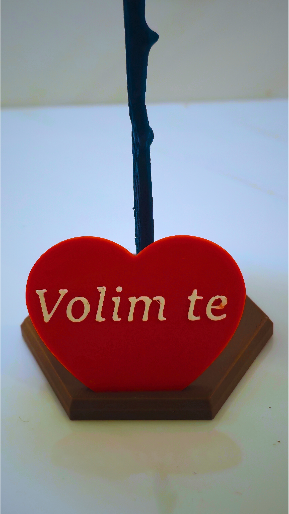 Ruža koja ne vene – Personalizirani Poklon